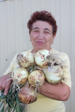 Жительницы Чесмы вырастили знатный урожай лука и чеснока