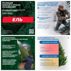 Полиция предупреждает: незаконная рубка хвойных деревьев влечёт ответственность