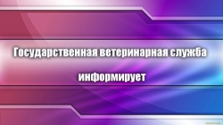 В Чесме установлен факт бешенства домашней кошки