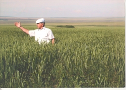 Почетен сельчанина труд