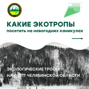 Новогодние каникулы &ndash; отличное время для путешествий!