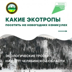 Новогодние каникулы &ndash; отличное время для путешествий!