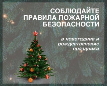 Начальник 240 ПЧ Эдуард Аведов напомнил жителям Чесменского округа правила пожарной безопасности в новогодние праздники