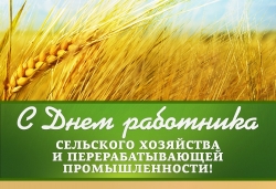 С праздником, сельские  труженики!