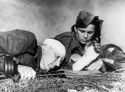 Кошмарные будни фронтовых медсестёр