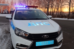 На территории Чесменского района стартовала профилактическая акция «Начинающий водитель»