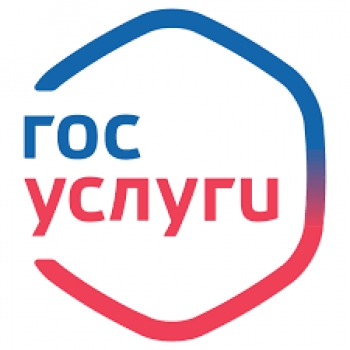 Предоставление государственных услуг в сфере оборота оружия, частной детективной и охранной деятельности