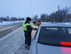 Сотрудники ОМВД России по Чесменскому району провели оперативно-профилактическое мероприятие &laquo;Правопорядок&raquo;