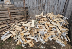 В Чесменском районе возбуждено уголовное дело по факту незаконной рубки деревьев