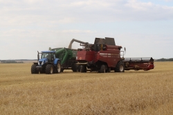 Полеводы Чесменского района намолотили свыше 200 тысяч тонн зерна