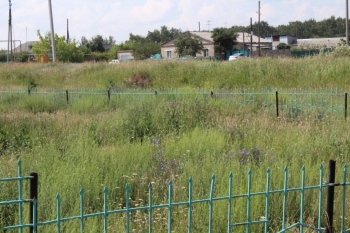 Наш любимый райцентр зарастает травой. Вооружившись фотоаппаратом, мы сделали рейд по Чесме