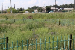 Наш любимый райцентр зарастает травой. Вооружившись фотоаппаратом, мы сделали рейд по Чесме