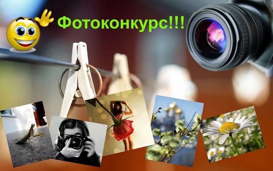 Картинки конкурс фотографий